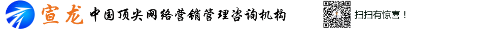 宣龍網(wǎng)絡(luò)營(yíng)銷(xiāo)logo