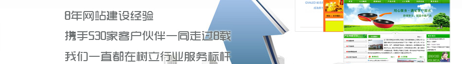 網(wǎng)站建設(shè)經(jīng)驗(yàn)